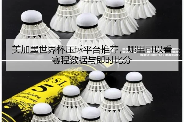 美加墨世界杯压球平台推荐，哪里可以看赛程数据与即时比分